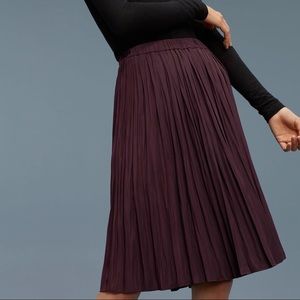 Aritzia Wilfred Borjes skirt
